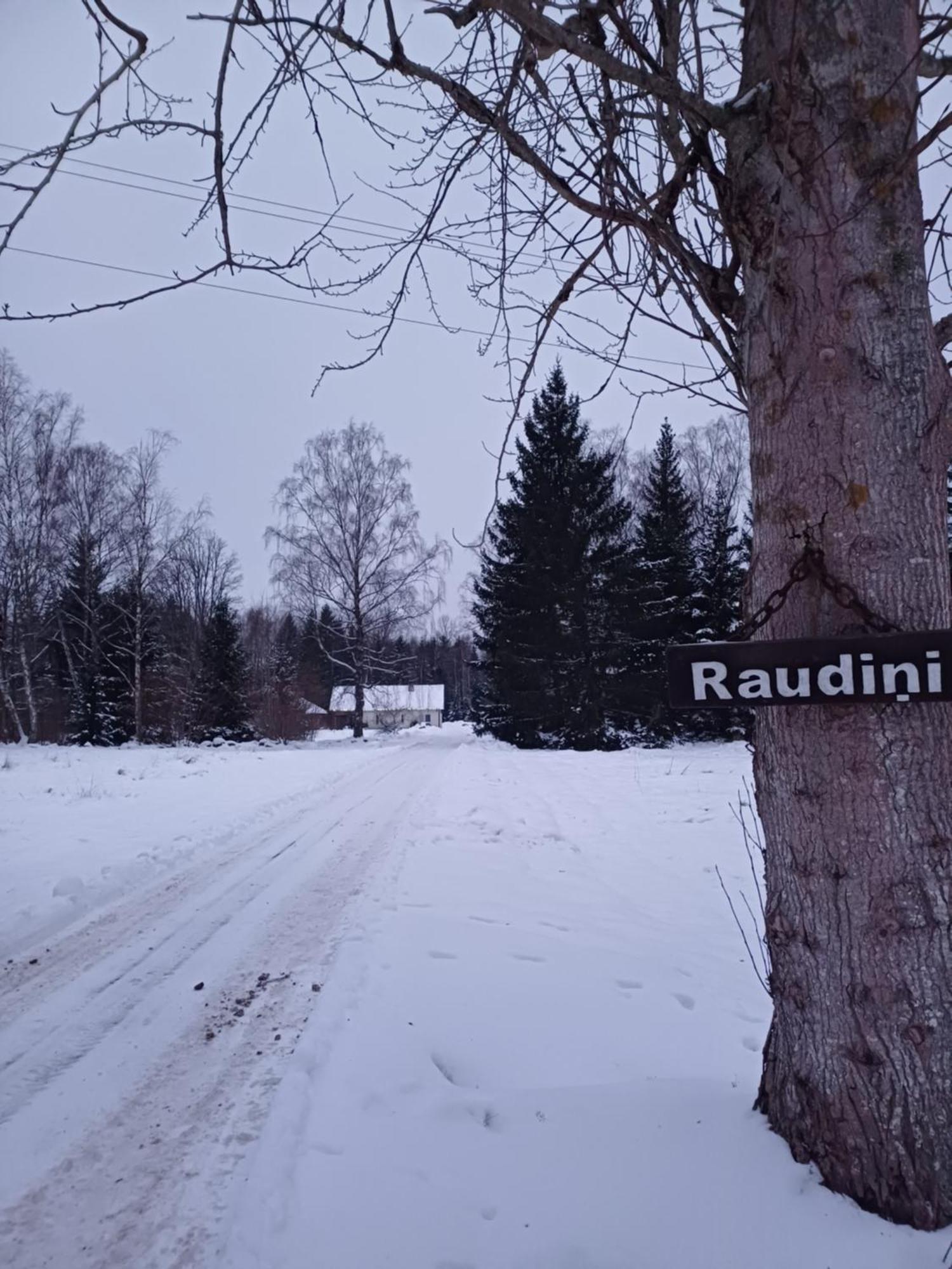 Brivdienu Maja "Raudini" Kaltene ภายนอก รูปภาพ